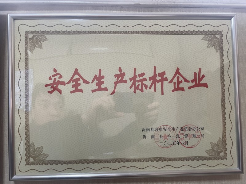 安全生產(chǎn)標桿企業(yè).jpg
